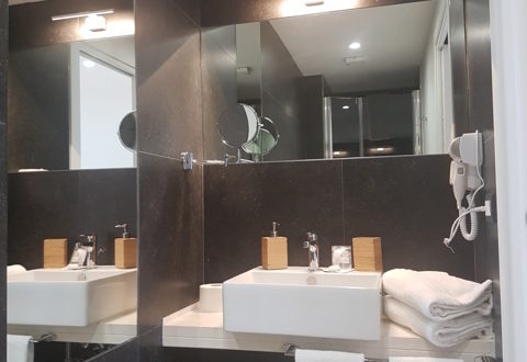 deluxe studio bathroom with terrace